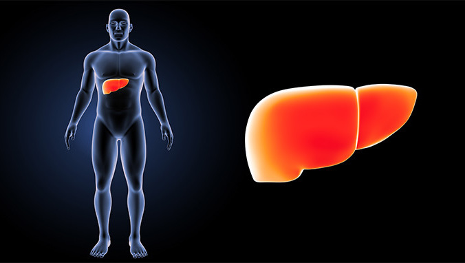 Small liver cancer recurrence rate after surgery
