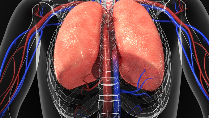 What does negative gene test for lung adenocarcinoma mean